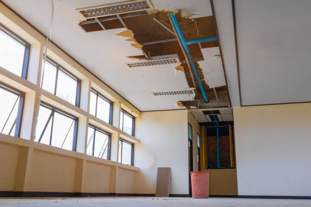 Best Professional water damage repair  in Rockville Centre, NY