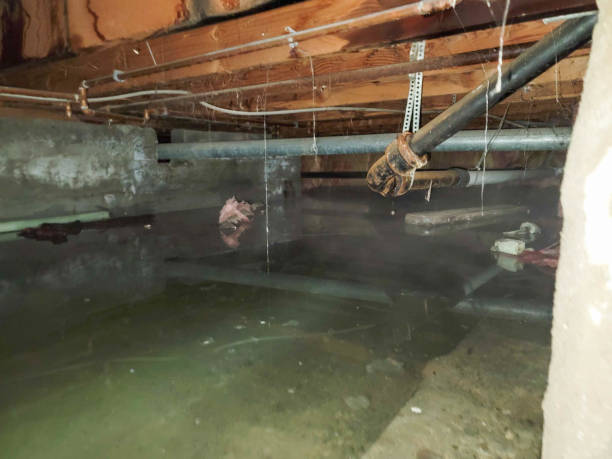 Best 24/7 water damage repair  in Rockville Centre, NY