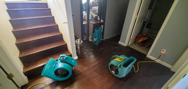 Best Local water damage restoration  in Rockville Centre, NY