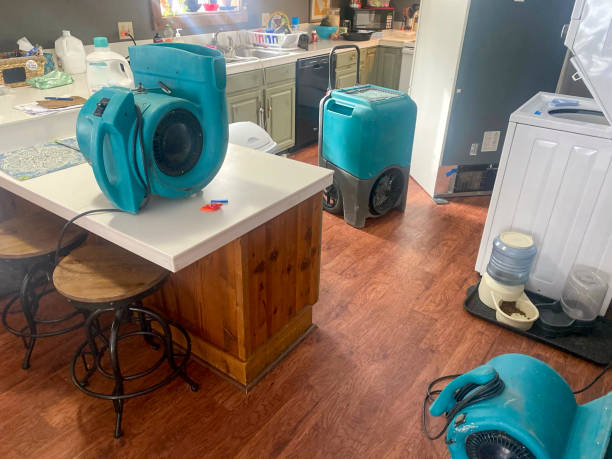 Best Residential water damage restoration  in Rockville Centre, NY