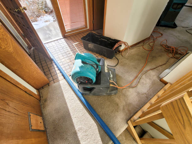 Best Sewage cleanup and water damage restoration  in Rockville Centre, NY
