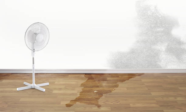 24/7 water damage repair in Rockville Centre, NY