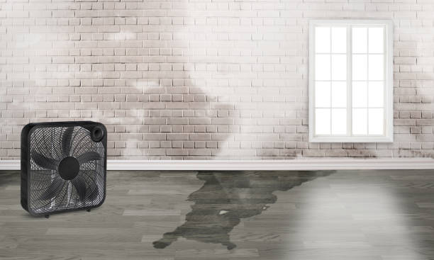 Best Ceiling water damage repair  in Rockville Centre, NY