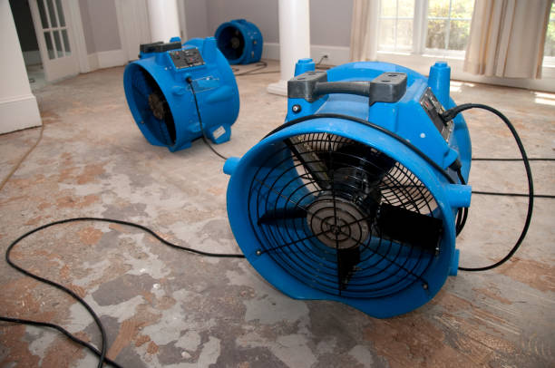 Best Flood damage cleanup  in Rockville Centre, NY
