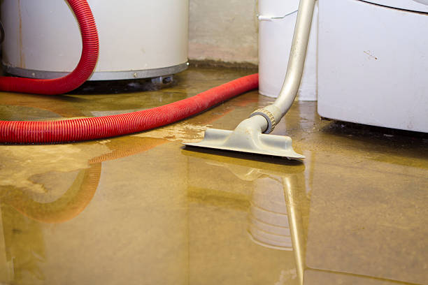 Best Local water damage restoration  in Rockville Centre, NY