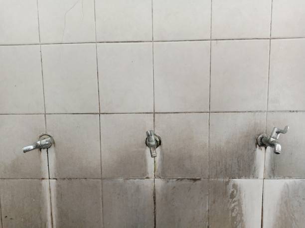 Rockville Centre, NY Water damage restoration Pros