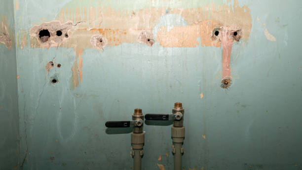 Best Fire Damage Restoration  in Rockville Centre, NY