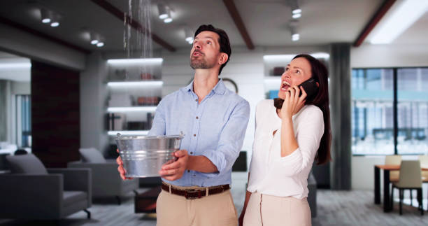 Best Fire Damage Restoration  in Rockville Centre, NY