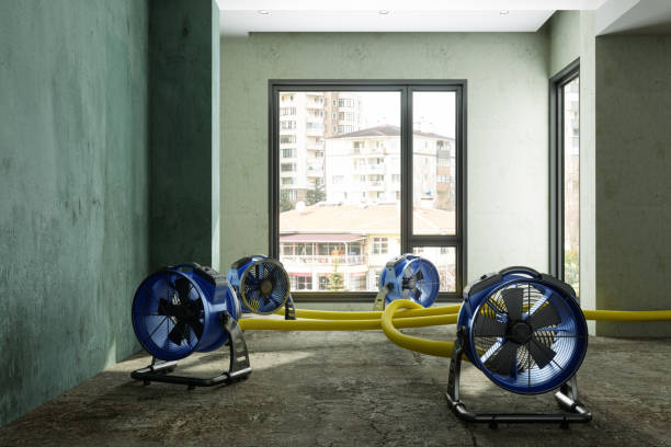 Best Water damage restoration near me  in Rockville Centre, NY