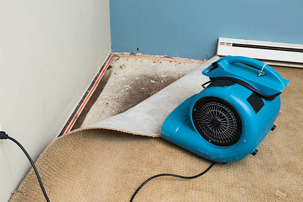 Best Basement water damage restoration  in Rockville Centre, NY